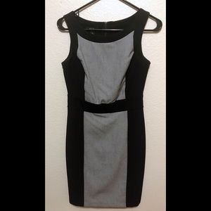 BCX Colorblock Career Dress